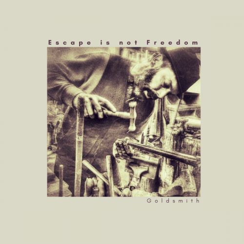 Escape Is Not Freedom - Goldsmith (2017)