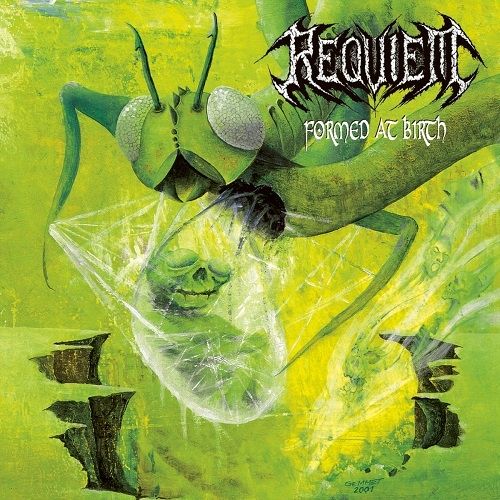 Requiem - Collection (2003-2011) Requiem - Collection (2003-2011)