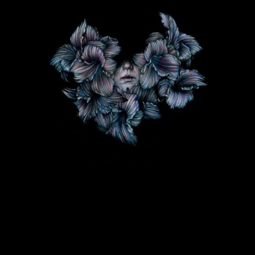 A Lot Like Birds - DIVISI (2017)