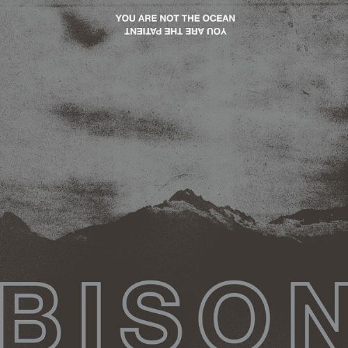Bison B.C.  - You Are Not The Ocean You Are The Patient (2017)