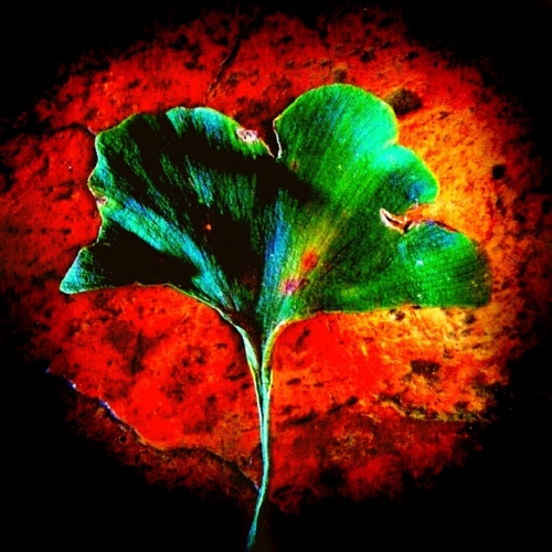 Our History - Our History (2017)