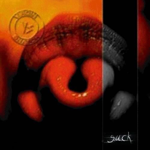 Virgin Snatch - Discography (2003-2014)