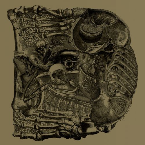 Boris - Dear (Deluxe 2CD Japanese Edition) (2017)