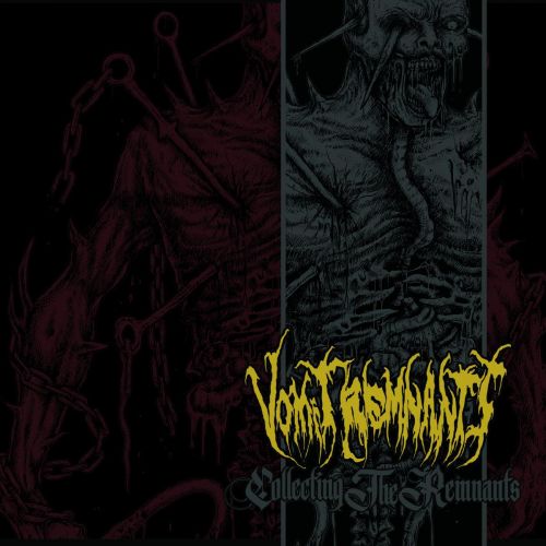 Vomit Remnants - Collecting the Remnants (Compilation, 2CD) (2017)
