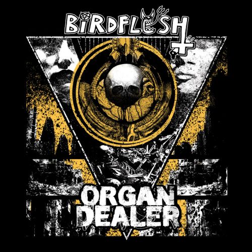Birdflesh & Organ Dealer - Birdflesh/Organ Dealer [split] (2017)
