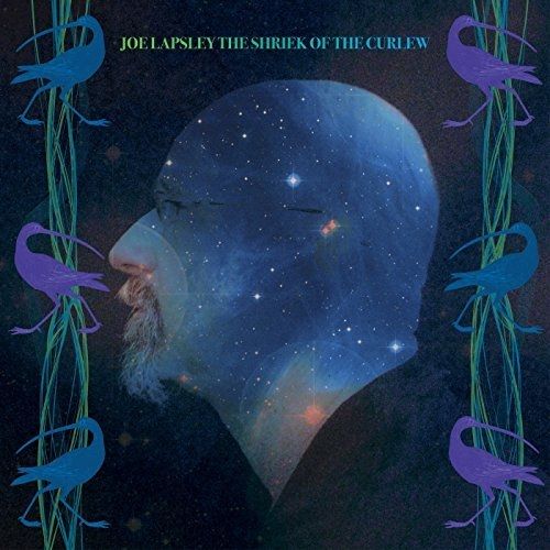 Joe Lapsley - The Shriek Of The Curlew (2017)