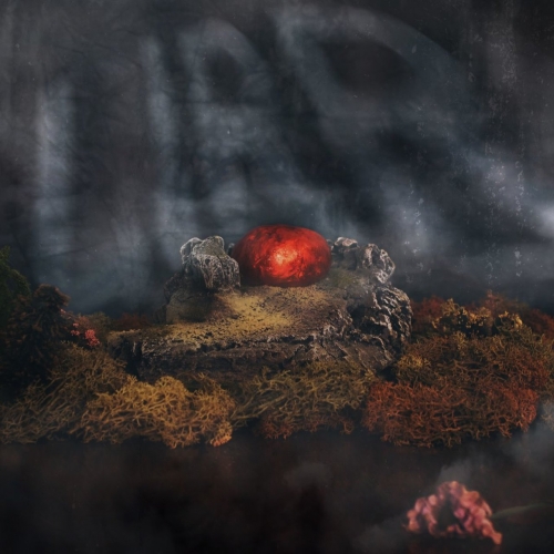 Lirr - god's on our side; welcome to the jungle (2017)