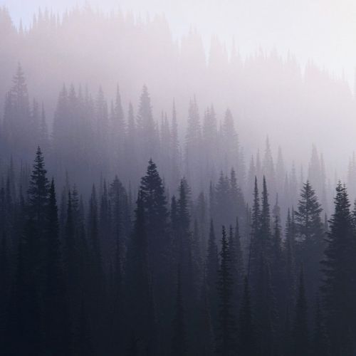 Vihan Messu - Lopun Ajan Jälkeen (2017)