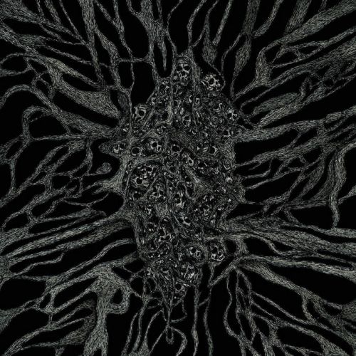 Blessed by Perversion - Between Roots and Darkness (2016)