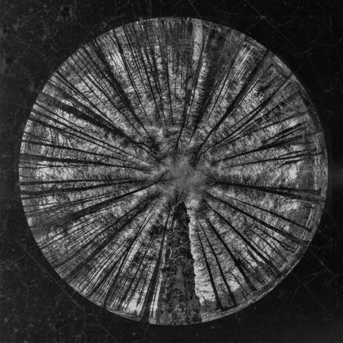 Yo No Se - Soma (2017)