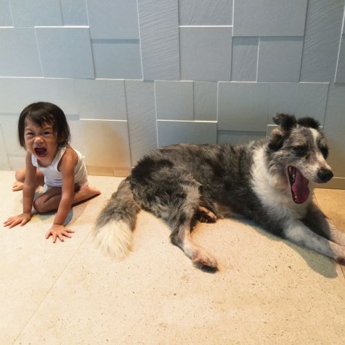 And So I Watch You From Afar - The Endless Shimmering (2017)