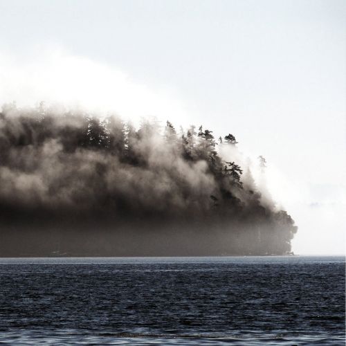 N█O - Adrestia (2017)