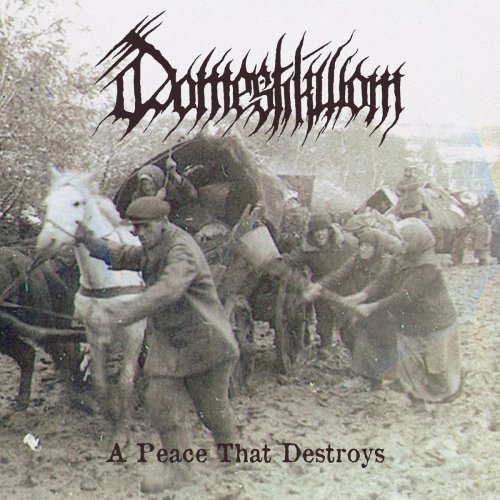 Domestikwom - A Peace That Destroys (2017) (Digipak Edition)