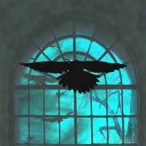 Kruk - Collection (2009-2014) Kruk - Collection (2009-2014)