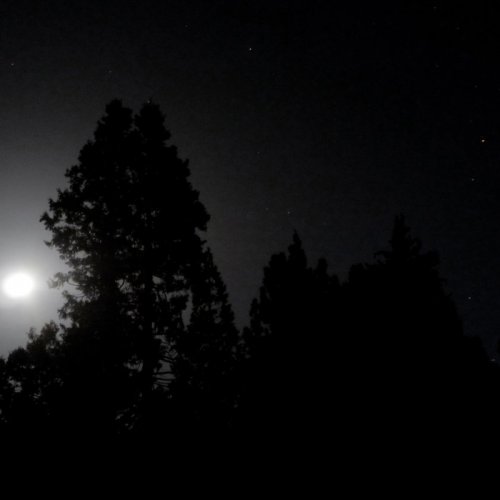 Abysmal Chaos - Contemplations (2017)