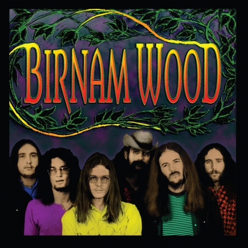 Birnam Wood Band - Birnam Wood (2017)