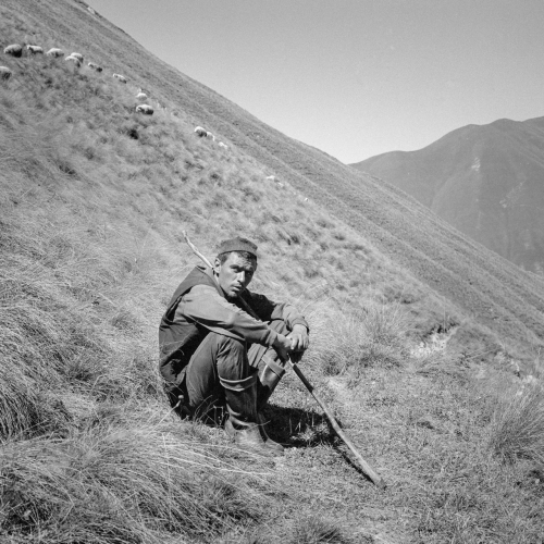 All We Expected - Hatàr (2017)