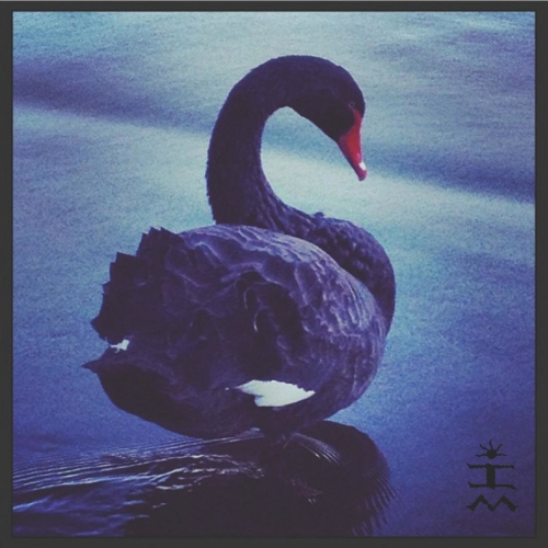 Schiermann - Schiermann (2017)