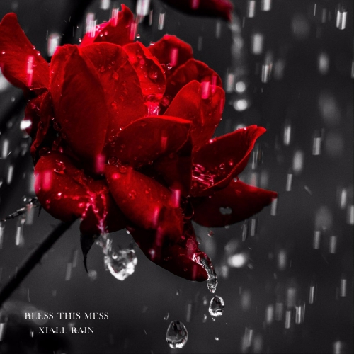 Bless This Mess - Xiall Rain (2017)