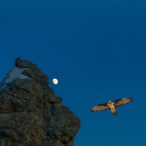 Hawkmoth - Godless Summit (2017)