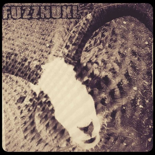 Fuzznukl - The Goat (2018)