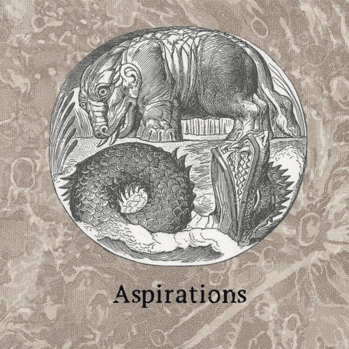 Deludium Skies - Aspirations (2018)