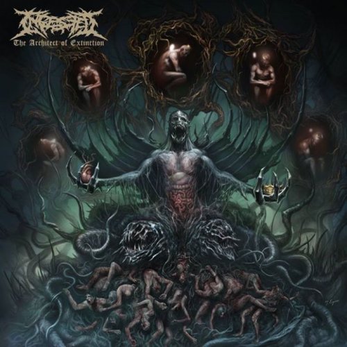 Ingested - Collection (2009-2015) Ingested - Collection (2009-2015)