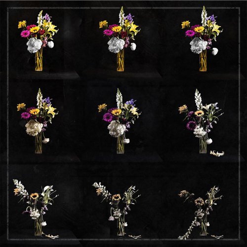 New Fiction - Let It Destroy You (2018)