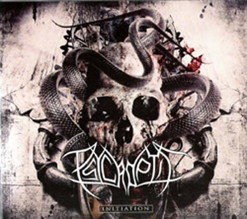 Psycroptic - Initiation (2010) (DVD)