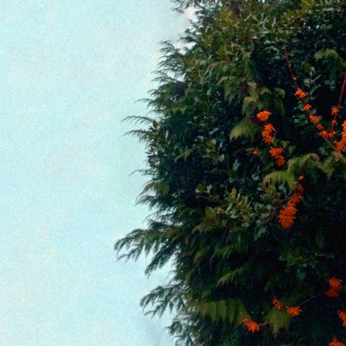 In Autumnus - Intrusiveless (2018)