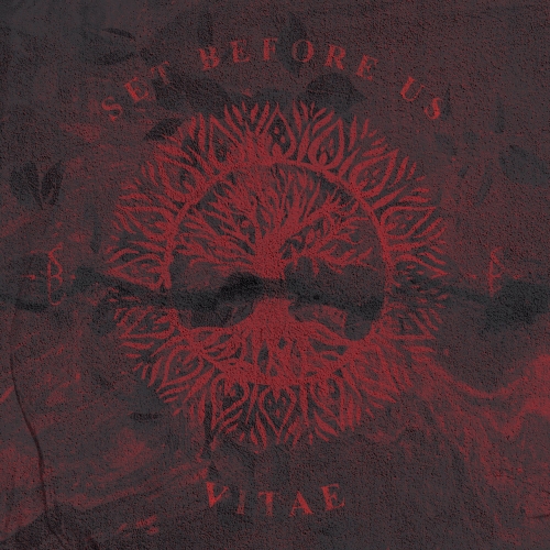 Set Before Us - Vitae (2018)