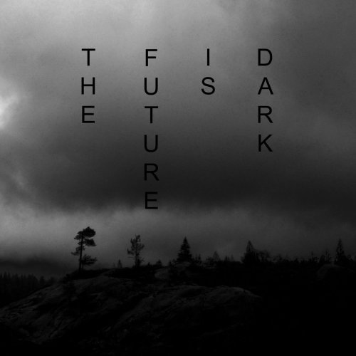 Stellar Descent - The Future Is Dark (2018)