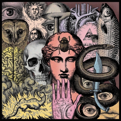 Bourbon - Fuente Vieja (2018)