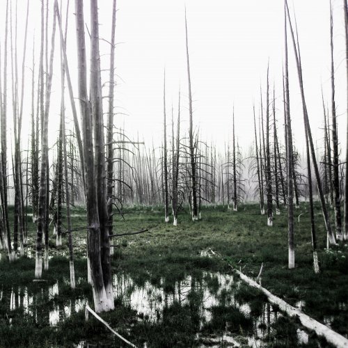 Seventh Genocide - SVNTH (EP) (2018)