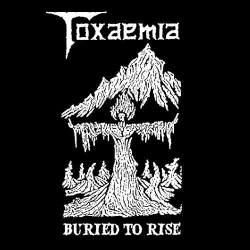 Toxaemia - Buried to Rise: 1990-1991 Discography (2010)