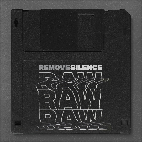 Remove Silence - Raw (2019)