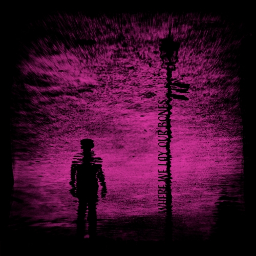 And We Should Die Of That Roar - Where We Lay Our Bones (2019)