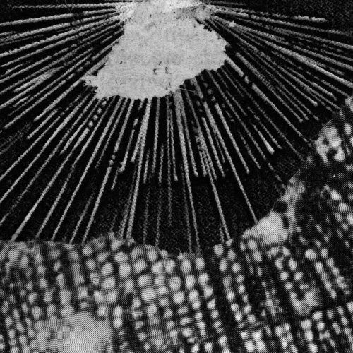 Torkana - Tres (2019)