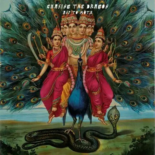 Chasing the Dragon - Asp to Moth (2019)