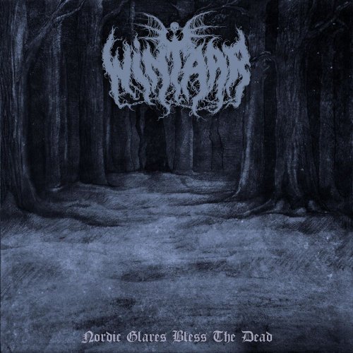 Wintaar - Nordic Glares Bless the Dead (2018)