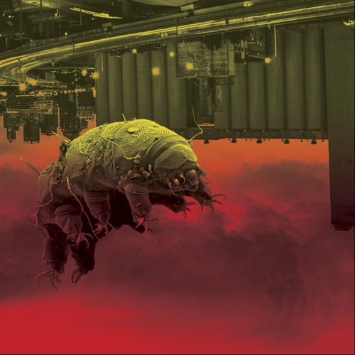 Tempête - Pyro[Cb] (2019)