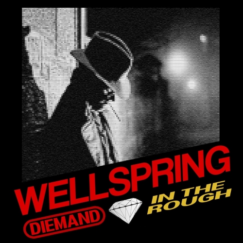 Diemand in the Rough - Wellspring (2019)
