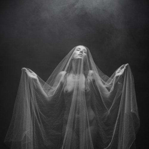 Purify - The Grief (2019)