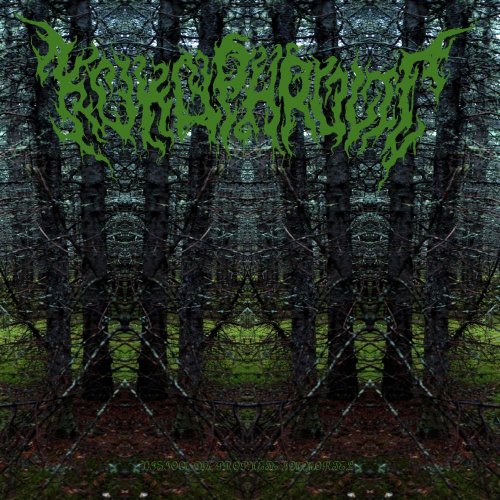 Kokophrolic - Vision Du Prophète Immortel (2019)