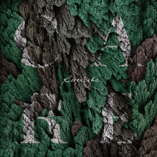 Riverbeds - Care (2019)