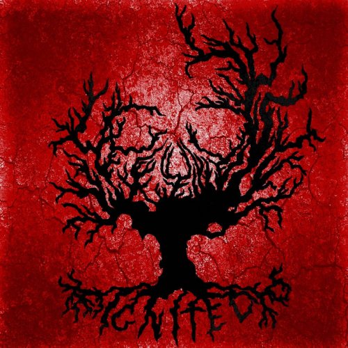 Fire Wheel - Ignited (2019)