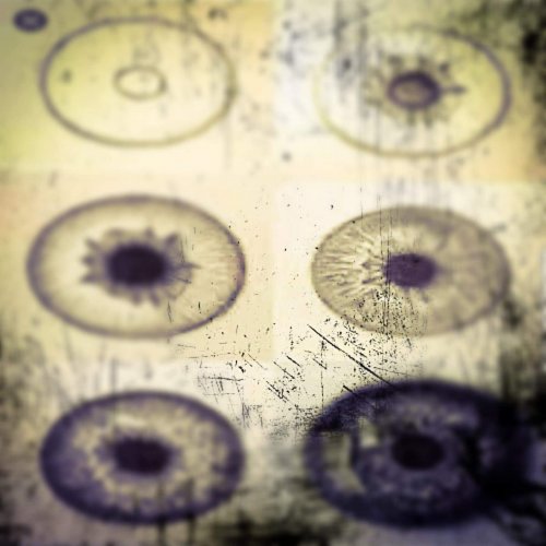 We Are Band Nerds - Clarity (2019)