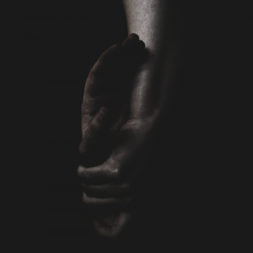 Fawn Limbs - Harm Remissions (2019)