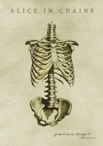 Alice in Chains - Live at SWU Festival 2011