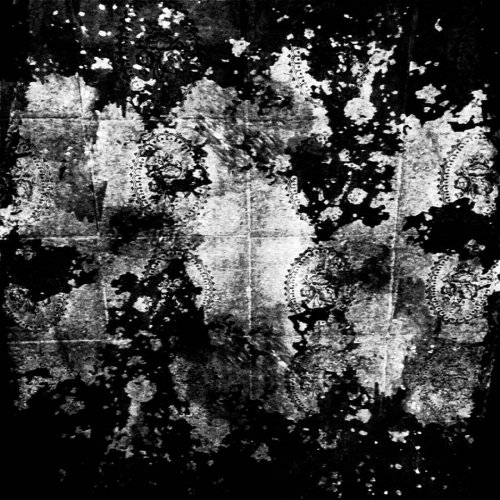 Sukkkgall - Untitled (2019)